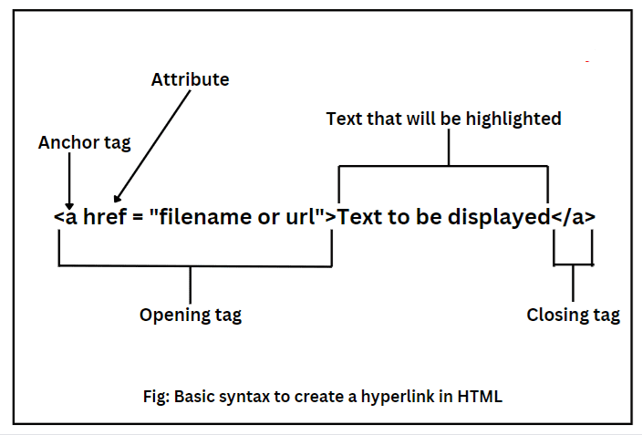 HTML Basic Link
